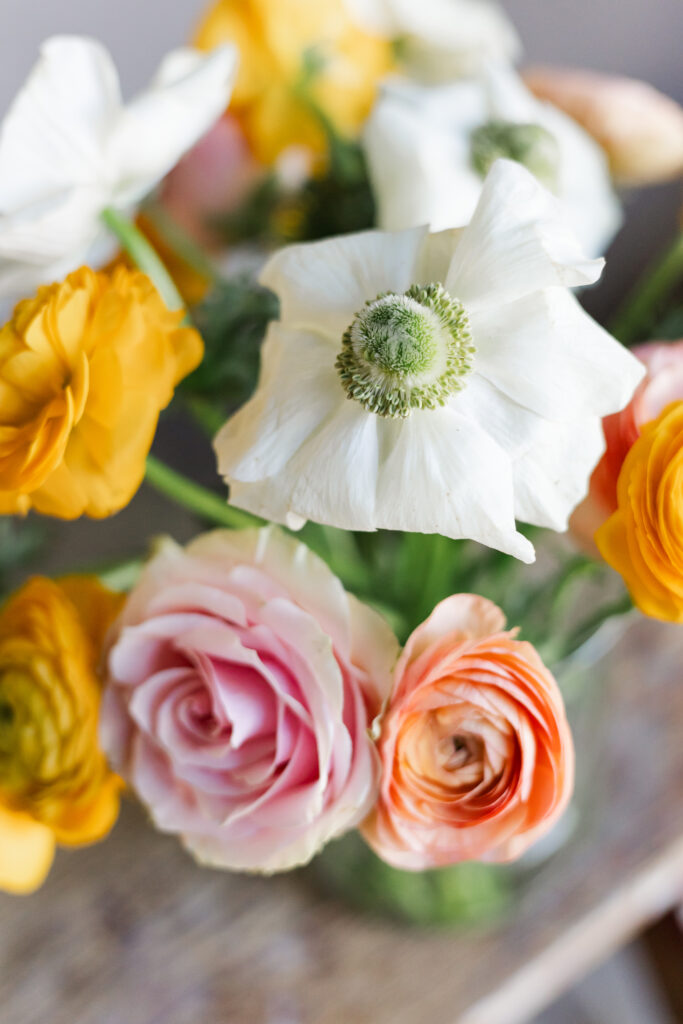 Close-up of blooming flowers in soft natural light, representing growth and the flourishing of creative brands.